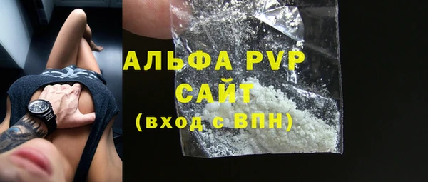 стаф Алексин