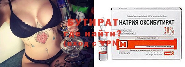 индика Каменка