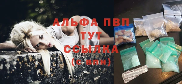 стаф Алексин