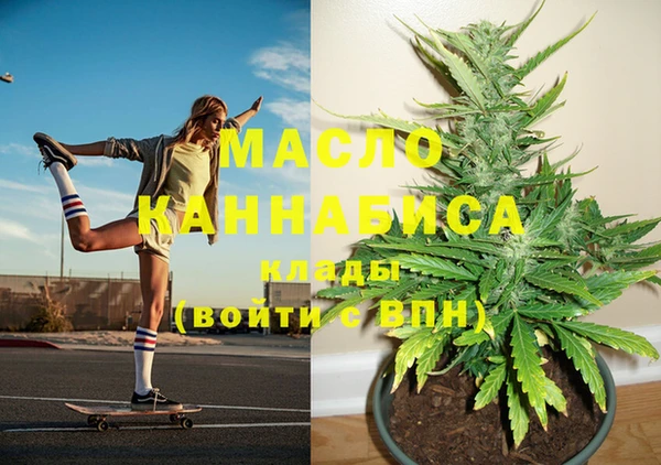 тгк Абаза